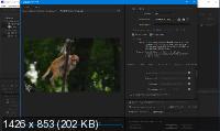 Adobe Media Encoder 2020 14.0.2.69 by m0nkrus
