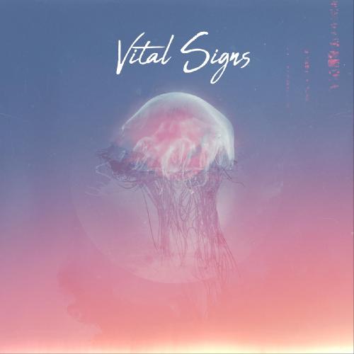 Vital Signs - Driftwood [EP] (2020)