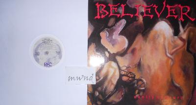 Believer Sanity Obscure LP FLAC 1990 mwnd