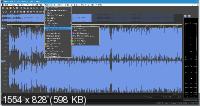 MAGIX SOUND FORGE Pro 14.0.0.30 RePack by PooShock