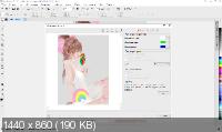 CorelDRAW Graphics Suite 2020 22.0.0.412 Portable by conservator