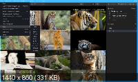 Luminar 4.2.0.5553 Portable by conservator