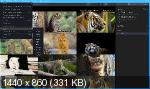 Luminar 4.2.0.5553 Portable by conservator