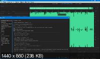 Adobe Audition 2020 13.0.4.39 RePack by KpoJIuK