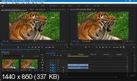 Adobe Premiere Pro 2020 14.0.4.18