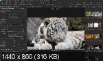 Capture One 20 Pro 13.0.4.8 Portable by conservator