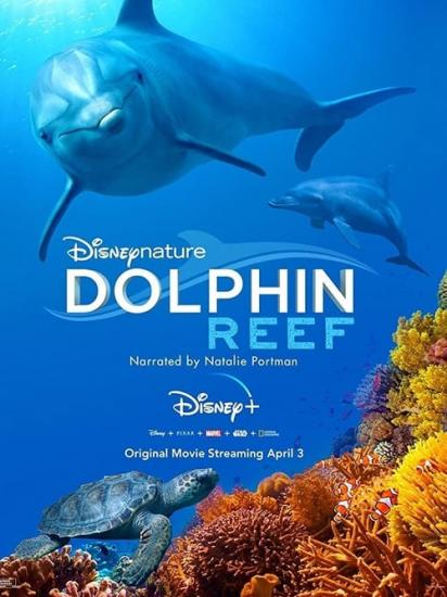 Dolphin Reef (2020) 1080p BluRay x264 5.1-YIFY