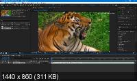Adobe After Effects 2020 17.0.6.35 RePack by KpoJIuK