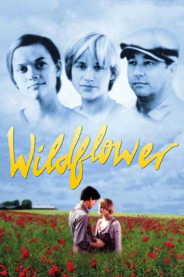 Wildflower 1991 WEBRip XviD MP3-XVID