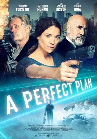 A Perfect Plan (2020) 1080p WEBRip x264 5.1-YIFY